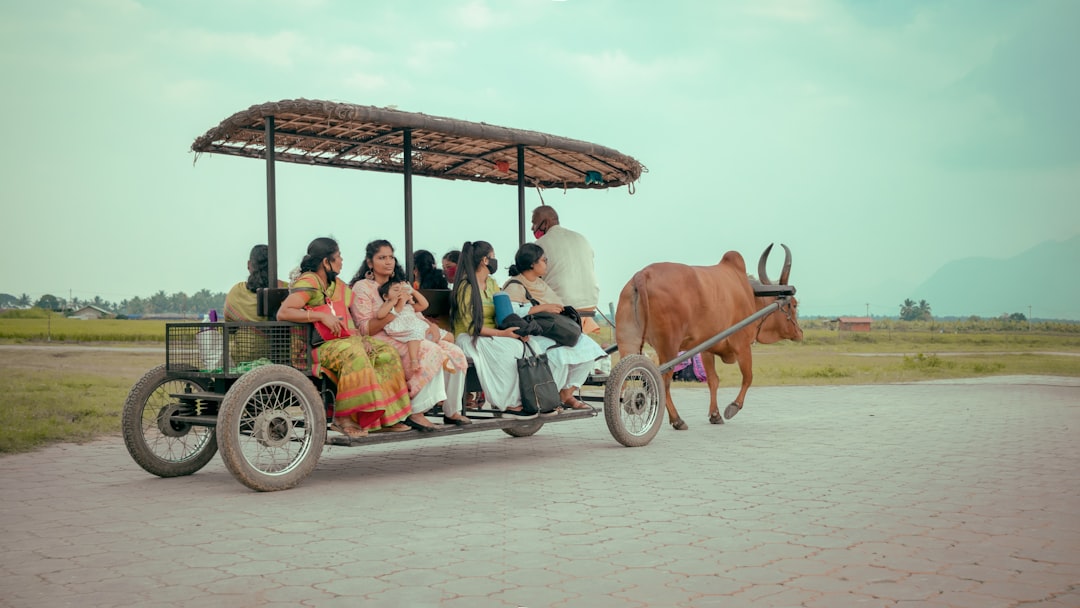 Unforgettable Adventures Await with Our Professional Tour Guides